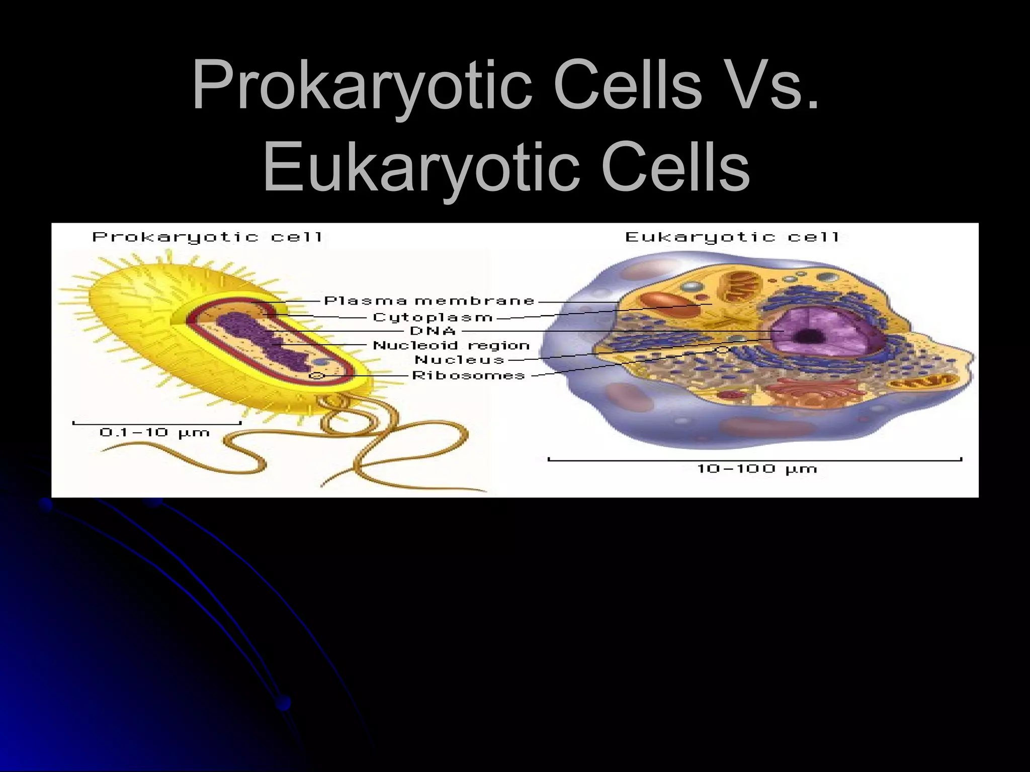 Prokaryote Vs Eukaryote 7th Grade Cells Pinterest Biology