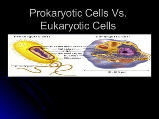 Prokaryotic Cells Vs.Prokaryotic Cells Vs.
Eukaryotic CellsEukaryotic Cells
 