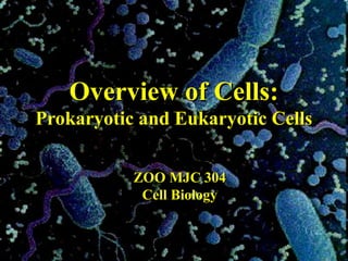Comprehensive Overview of Prokaryotic and Eukaryotic Cells in Biology | PPT