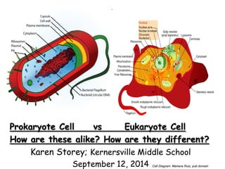 Prokaryote Cell vs Eukaryote Cell
How are these alike? How are they different?
Karen Storey; Kernersville Middle School
September 12, 2014 Cell Diagram: Mariana Ruiz, pub domain
 