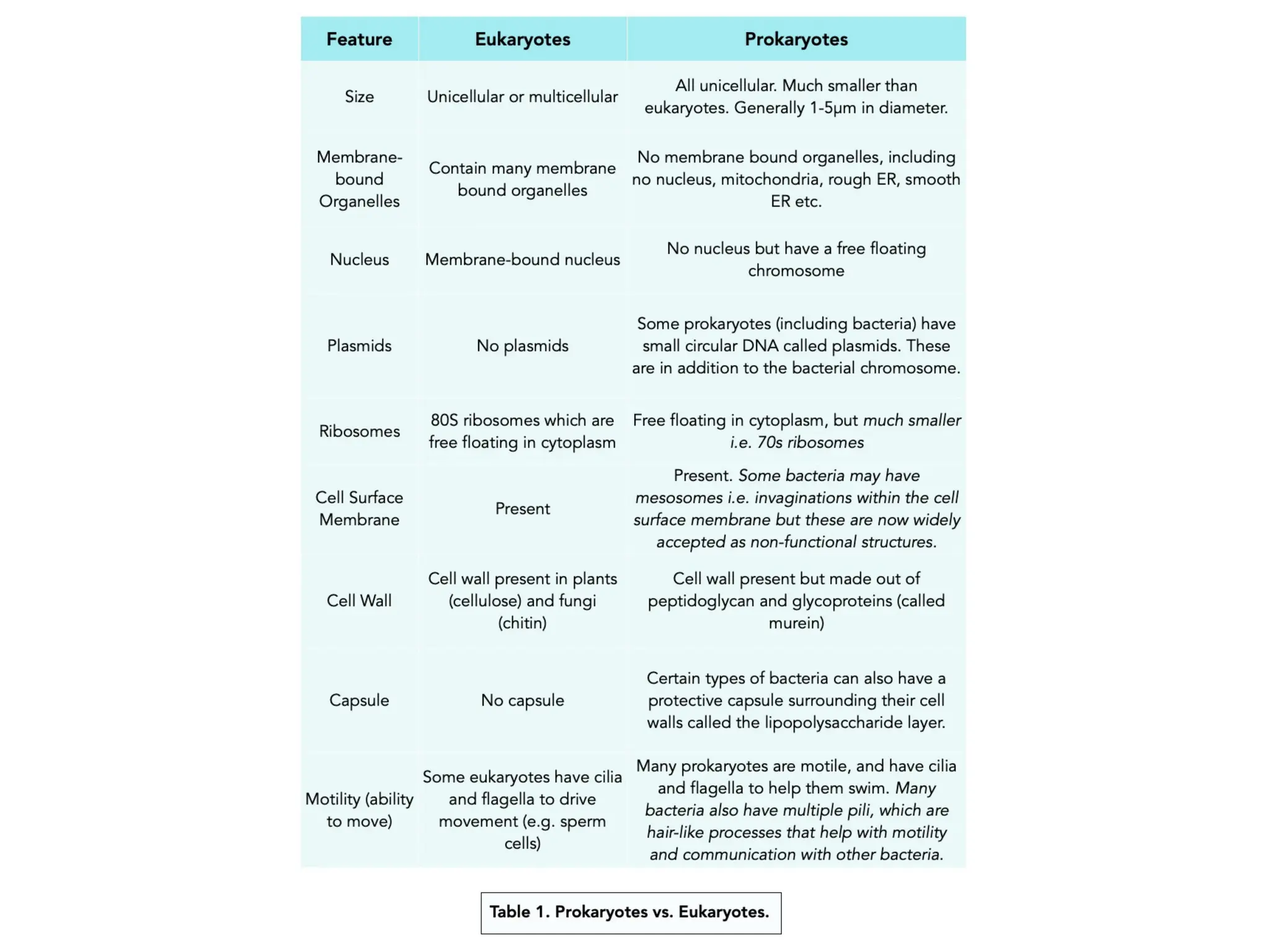 prokaryote vs Eukaryote prokaryote vs Eukaryote | PPTX