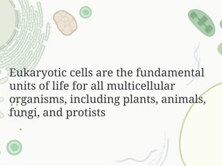 Eukaryotic cells are the fundamental
units of life for all multicellular
organisms, including plants, animals,
fungi, and protists
 
