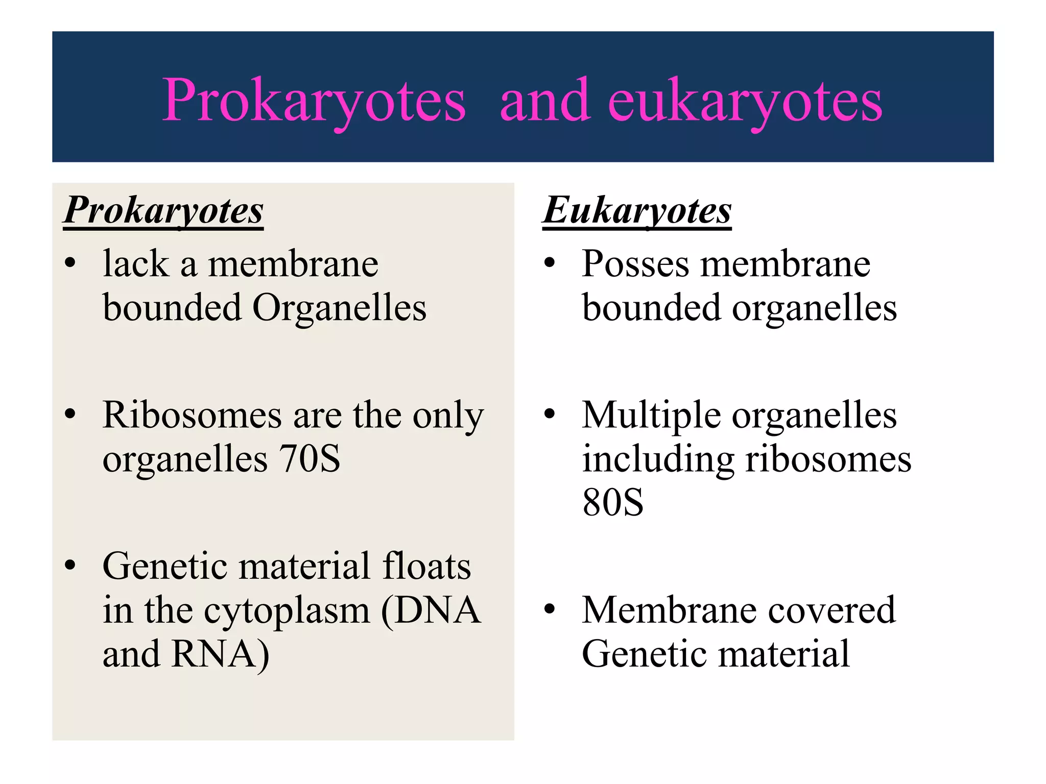 prokaryotic-and-eukaryotic-cell-ppt