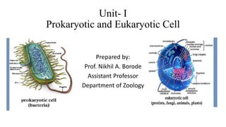 Unit- I
Prokaryotic and Eukaryotic Cell
Prepared by:
Prof. Nikhil A. Borode
Assistant Professor
Department of Zoology
 