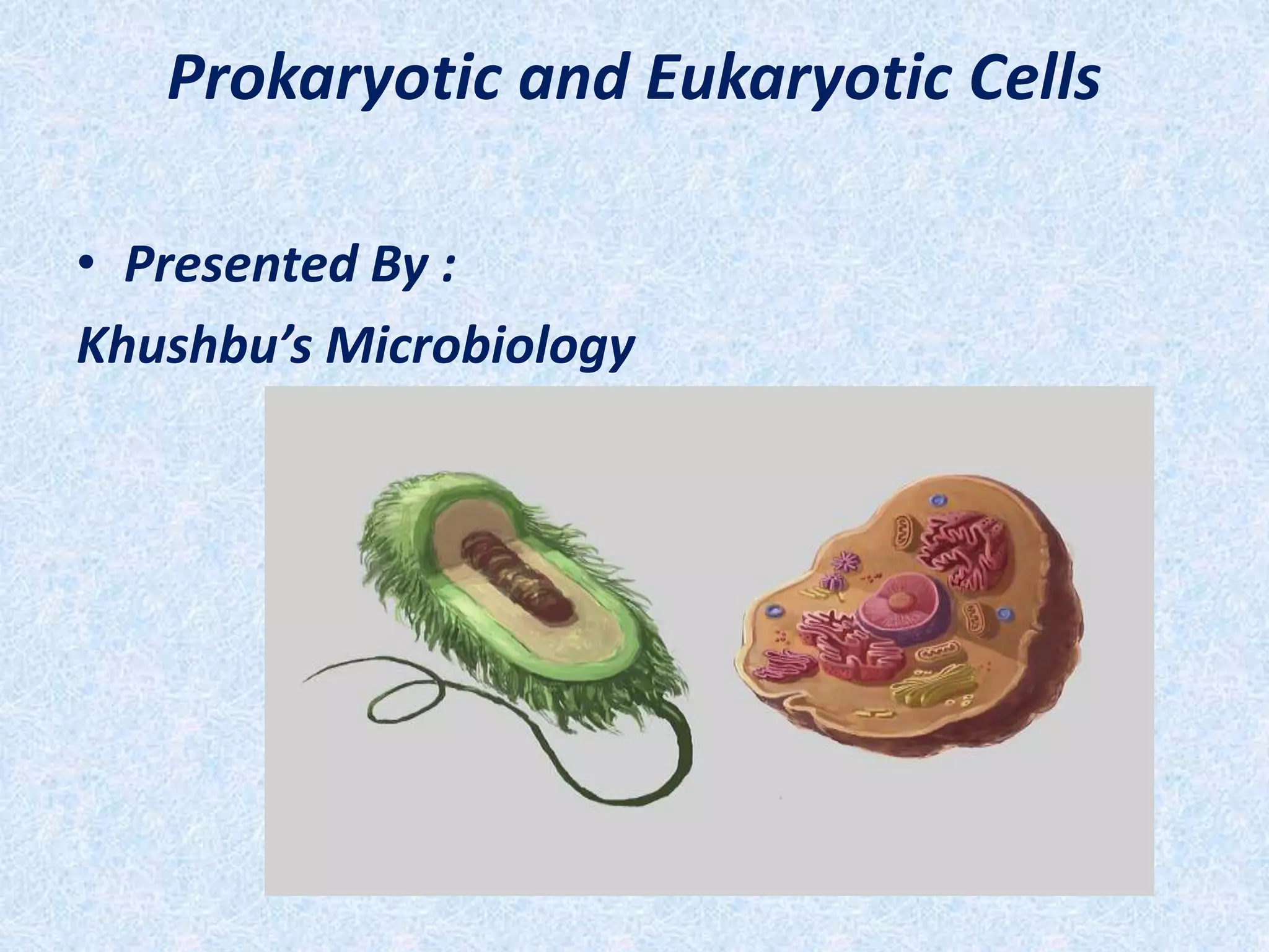 Prokaryotic and eukaryotic cells | PPTX