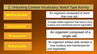 Prokaryotic and Eukaryotic Cells. PowerPoint presentation | PPTX