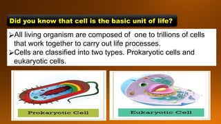 Prokaryotic and Eukaryotic Cells. PowerPoint presentation | PPTX