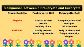 Comparison between a Prokaryote and Eukaryote
Characteristic Prokaryotic Cell Eukaryotic Cell
Flagella Consist of two
protein
building block
Complex, consist of
multiple
microtubules
Cell Wall Usually present;
chemically complex
Only in plants and
fungi chemically
simpler
 
