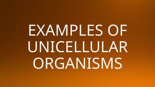 EXAMPLES OF
UNICELLULAR
ORGANISMS
 