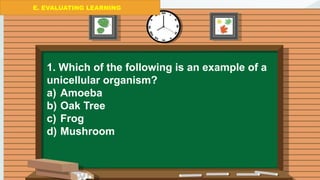 E. EVALUATING LEARNING
E. EVALUATING LEARNING
1. Which of the following is an example of a
unicellular organism?
a) Amoeba
b) Oak Tree
c) Frog
d) Mushroom
 