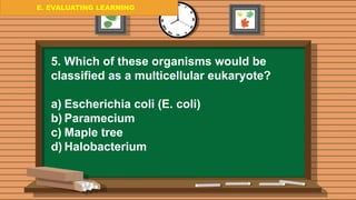E. EVALUATING LEARNING
E. EVALUATING LEARNING
E. EVALUATING LEARNING
5. Which of these organisms would be
classified as a multicellular eukaryote?
a) Escherichia coli (E. coli)
b) Paramecium
c) Maple tree
d) Halobacterium
 