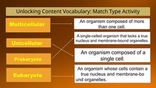 Unlocking Content Vocabulary: Match Type Activity
Unicellular
Prokaryote
Eukaryote
An organism composed of a
single cell.
A single-celled organism that lacks a true
nucleus and membrane-bound organelles.
An organism whose cells contain a
true nucleus and membrane-bo
und organelles.
Multicellular
An organism composed of more
than one cell.
 