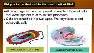 ⮚All living organism are composed of one to trillions of cells
that work together to carry out life processes.
⮚Cells are classified into two types. Prokaryotic cells and
eukaryotic cells.
Did you know that cell is the basic unit of life?
 