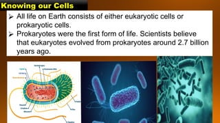 Knowing our Cells
⮚ All life on Earth consists of either eukaryotic cells or
prokaryotic cells.
⮚ Prokaryotes were the first form of life. Scientists believe
that eukaryotes evolved from prokaryotes around 2.7 billion
years ago.
 