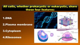All cells, whether prokaryotic or eukaryotic, share
these four features:
1.DNA
2.Plasma membrane
3.Cytoplasm
4.Ribosomes
 