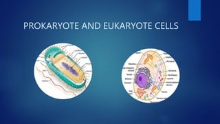 PROKARYOTE AND EUKARYOTE CELLS
 