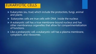 PROKARYOTIC AND EUKARYOTIC CELLS VIDEO PDPC1.pptx