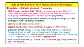 Rna Primer Example Prokaryotic and eukaryotic dna replication with their clinical ...