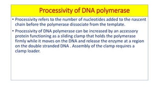 Processivity Prokaryotic and eukaryotic dna replication with their clinical ...