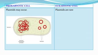 Prokaryotic and eukaryotic microorganisms