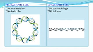 Prokaryotic and eukaryotic microorganisms