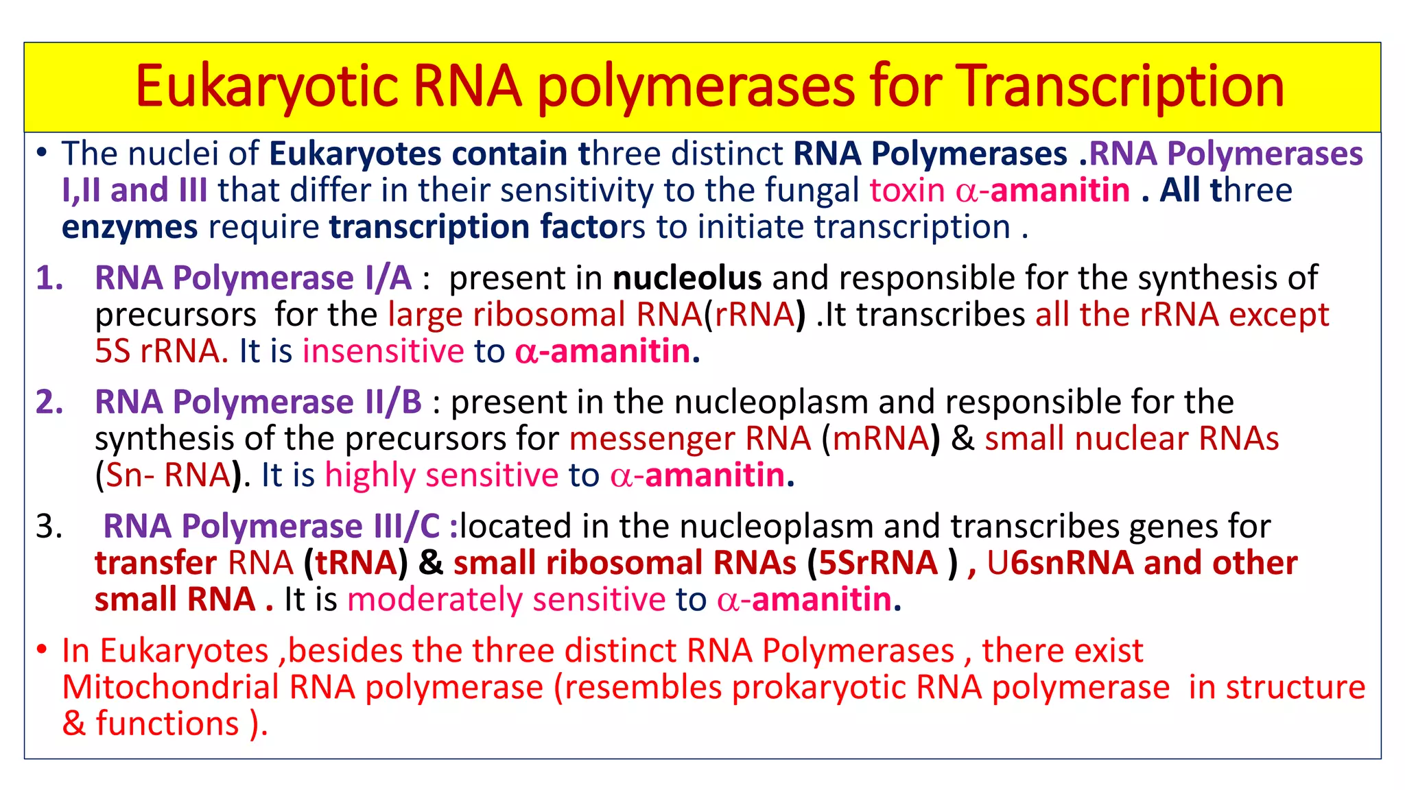 Prokaryotic and eukaryotic transcription with their clinical ...