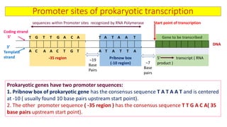 Prokaryotic and eukaryotic transcription with their clinical ...