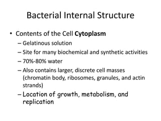 Bacterial Internal Structure
• Contents of the Cell Cytoplasm
– Gelatinous solution
– Site for many biochemical and synthetic activities
– 70%-80% water
– Also contains larger, discrete cell masses
(chromatin body, ribosomes, granules, and actin
strands)
– Location of growth, metabolism, and
replication
 