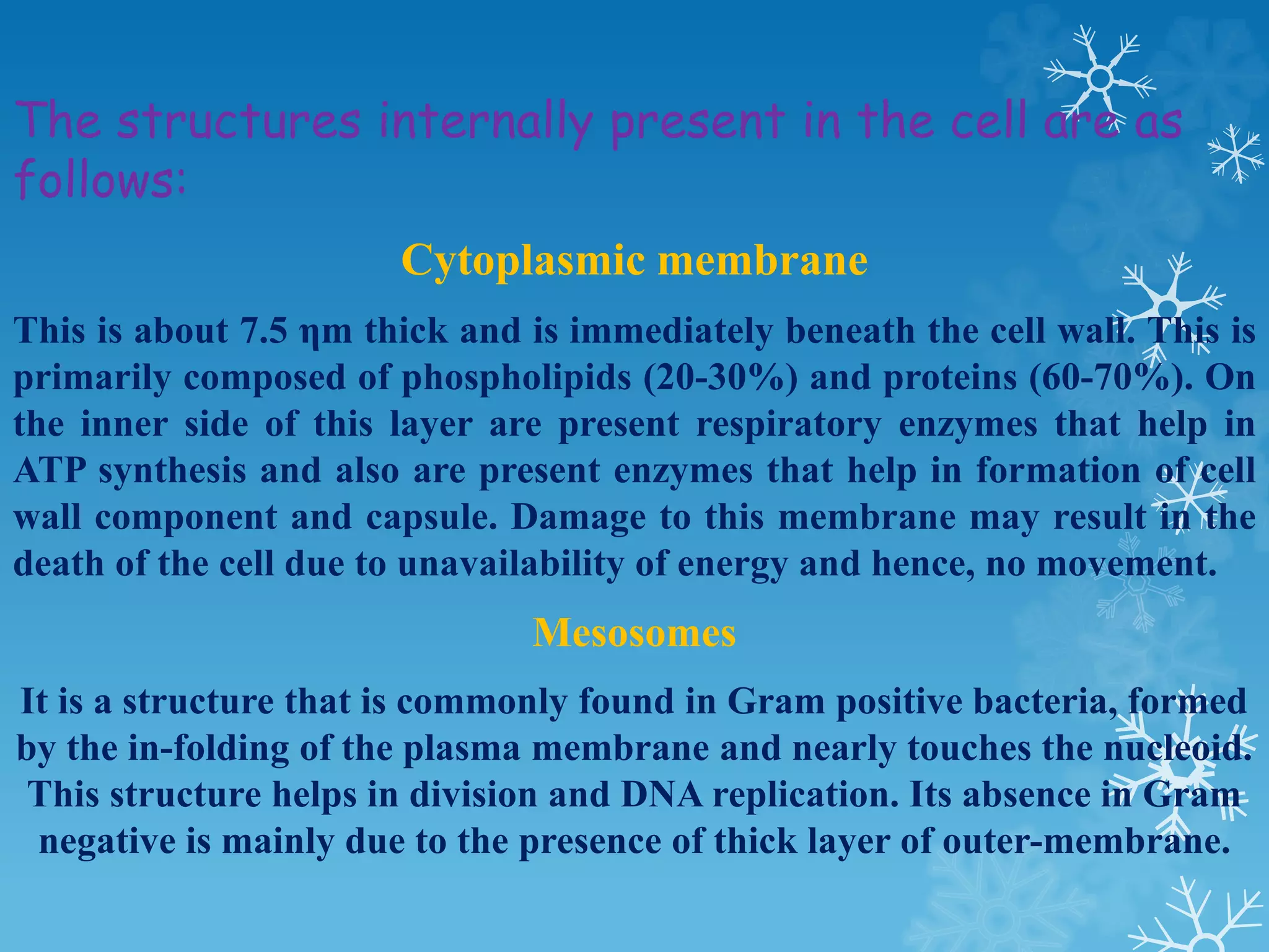 The structures internally present in the cell are as
follows:
Cytoplasmic membrane
This is about 7.5 ηm thick and is immediately beneath the cell wall. This is
primarily composed of phospholipids (20-30%) and proteins (60-70%). On
the inner side of this layer are present respiratory enzymes that help in
ATP synthesis and also are present enzymes that help in formation of cell
wall component and capsule. Damage to this membrane may result in the
death of the cell due to unavailability of energy and hence, no movement.
Mesosomes
It is a structure that is commonly found in Gram positive bacteria, formed
by the in-folding of the plasma membrane and nearly touches the nucleoid.
This structure helps in division and DNA replication. Its absence in Gram
negative is mainly due to the presence of thick layer of outer-membrane.
 