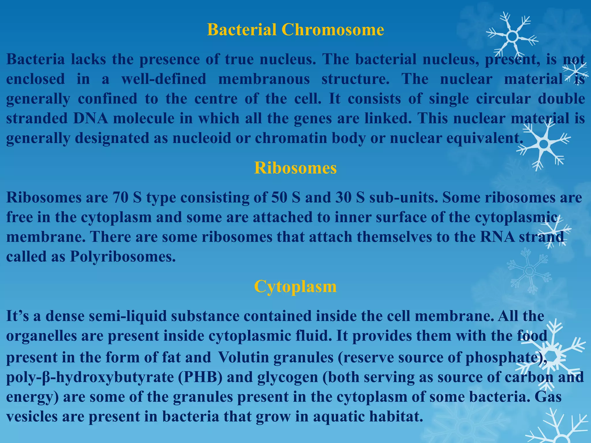 Bacterial Chromosome
Bacteria lacks the presence of true nucleus. The bacterial nucleus, present, is not
enclosed in a well-defined membranous structure. The nuclear material is
generally confined to the centre of the cell. It consists of single circular double
stranded DNA molecule in which all the genes are linked. This nuclear material is
generally designated as nucleoid or chromatin body or nuclear equivalent.
Ribosomes
Ribosomes are 70 S type consisting of 50 S and 30 S sub-units. Some ribosomes are
free in the cytoplasm and some are attached to inner surface of the cytoplasmic
membrane. There are some ribosomes that attach themselves to the RNA strand
called as Polyribosomes.
Cytoplasm
It’s a dense semi-liquid substance contained inside the cell membrane. All the
organelles are present inside cytoplasmic fluid. It provides them with the food
present in the form of fat and Volutin granules (reserve source of phosphate),
poly-β-hydroxybutyrate (PHB) and glycogen (both serving as source of carbon and
energy) are some of the granules present in the cytoplasm of some bacteria. Gas
vesicles are present in bacteria that grow in aquatic habitat.
 