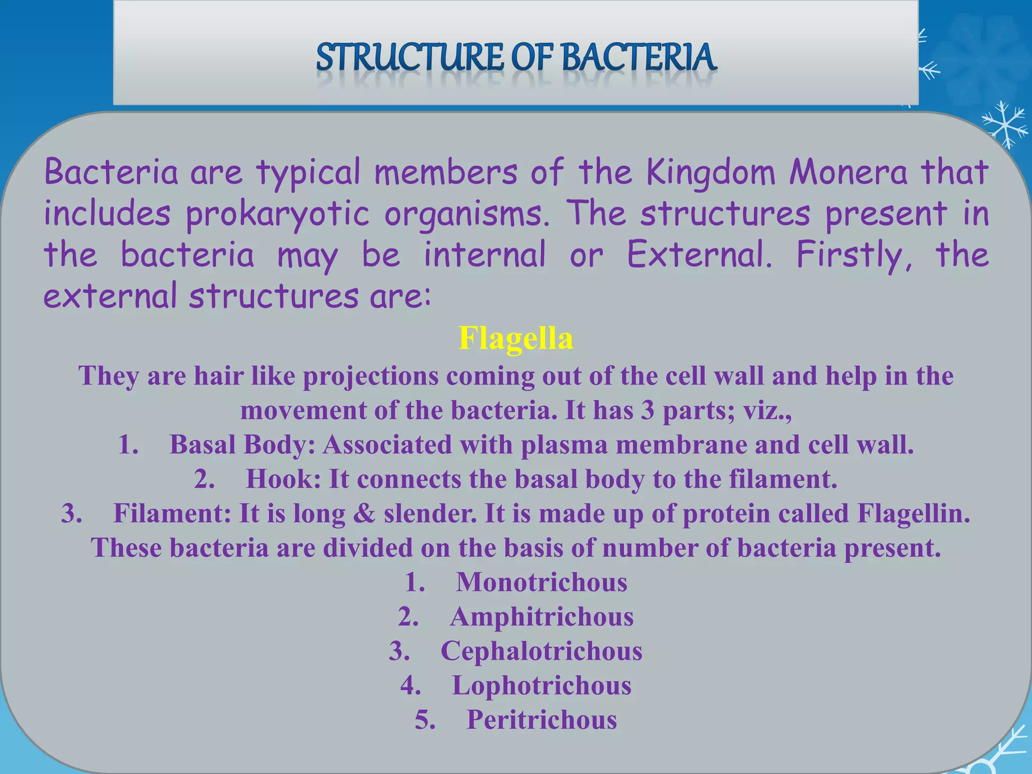 Bacteria are typical members of the Kingdom Monera that
includes prokaryotic organisms. The structures present in
the bacteria may be internal or External. Firstly, the
external structures are:
Flagella
They are hair like projections coming out of the cell wall and help in the
movement of the bacteria. It has 3 parts; viz.,
1. Basal Body: Associated with plasma membrane and cell wall.
2. Hook: It connects the basal body to the filament.
3. Filament: It is long & slender. It is made up of protein called Flagellin.
These bacteria are divided on the basis of number of bacteria present.
1. Monotrichous
2. Amphitrichous
3. Cephalotrichous
4. Lophotrichous
5. Peritrichous
 