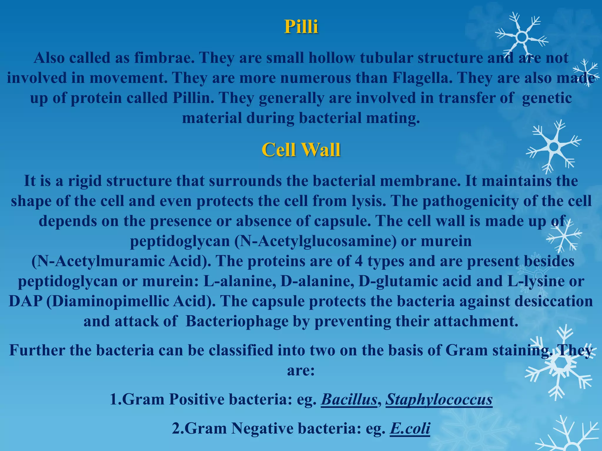 Pilli
Also called as fimbrae. They are small hollow tubular structure and are not
involved in movement. They are more numerous than Flagella. They are also made
up of protein called Pillin. They generally are involved in transfer of genetic
material during bacterial mating.
Cell Wall
It is a rigid structure that surrounds the bacterial membrane. It maintains the
shape of the cell and even protects the cell from lysis. The pathogenicity of the cell
depends on the presence or absence of capsule. The cell wall is made up of
peptidoglycan (N-Acetylglucosamine) or murein
(N-Acetylmuramic Acid). The proteins are of 4 types and are present besides
peptidoglycan or murein: L-alanine, D-alanine, D-glutamic acid and L-lysine or
DAP (Diaminopimellic Acid). The capsule protects the bacteria against desiccation
and attack of Bacteriophage by preventing their attachment.
Further the bacteria can be classified into two on the basis of Gram staining. They
are:
1.Gram Positive bacteria: eg. Bacillus, Staphylococcus
2.Gram Negative bacteria: eg. E.coli
 