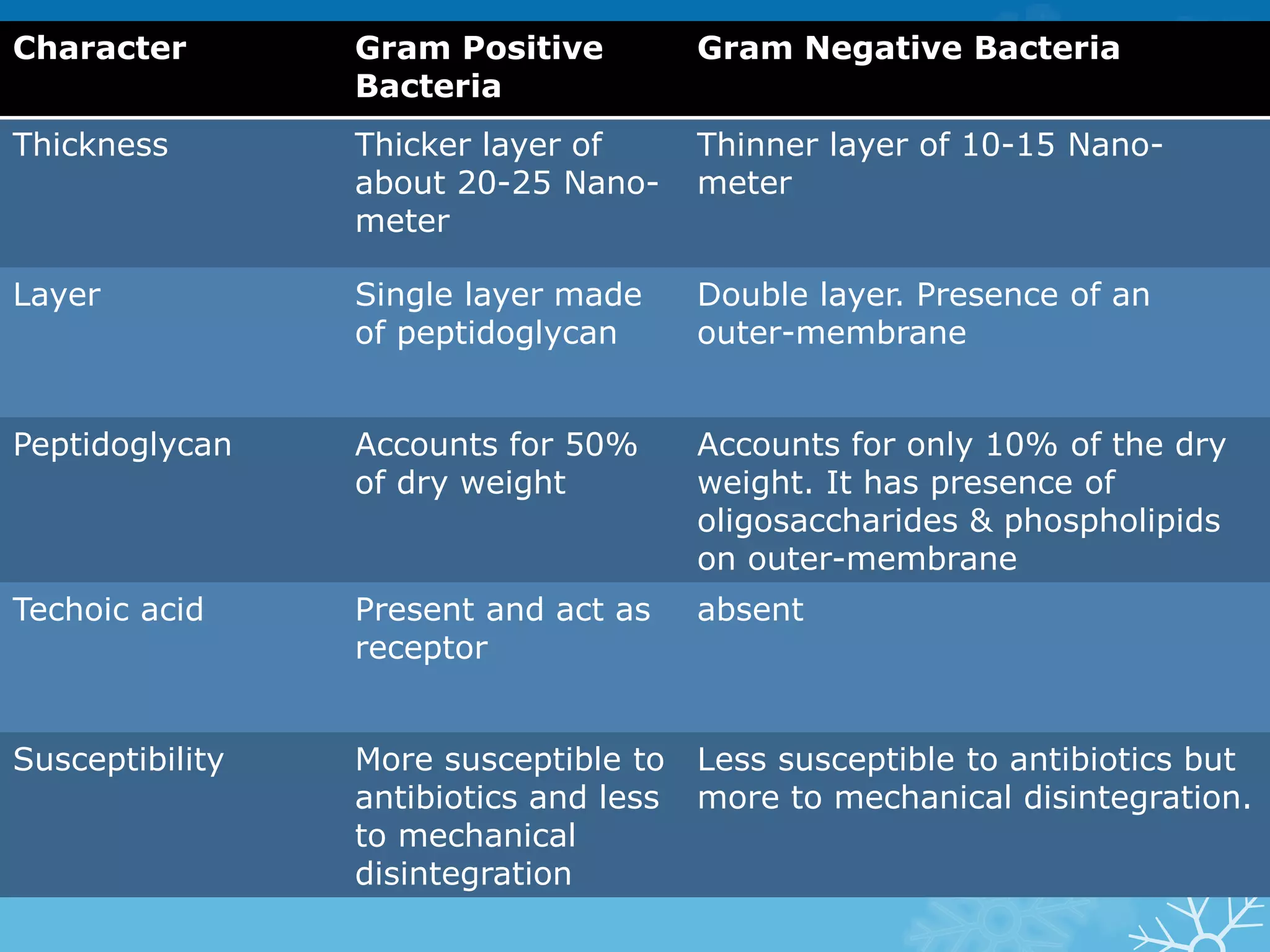 Character Gram Positive
Bacteria
Gram Negative Bacteria
Thickness Thicker layer of
about 20-25 Nano-
meter
Thinner layer of 10-15 Nano-
meter
Layer Single layer made
of peptidoglycan
Double layer. Presence of an
outer-membrane
Peptidoglycan Accounts for 50%
of dry weight
Accounts for only 10% of the dry
weight. It has presence of
oligosaccharides & phospholipids
on outer-membrane
Techoic acid Present and act as
receptor
absent
Susceptibility More susceptible to
antibiotics and less
to mechanical
disintegration
Less susceptible to antibiotics but
more to mechanical disintegration.
 
