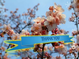 Prokaryotic Cell- Brief Intro