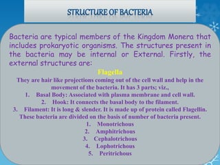 Bacteria are typical members of the Kingdom Monera that
includes prokaryotic organisms. The structures present in
the bacteria may be internal or External. Firstly, the
external structures are:
Flagella
They are hair like projections coming out of the cell wall and help in the
movement of the bacteria. It has 3 parts; viz.,
1. Basal Body: Associated with plasma membrane and cell wall.
2. Hook: It connects the basal body to the filament.
3. Filament: It is long & slender. It is made up of protein called Flagellin.
These bacteria are divided on the basis of number of bacteria present.
1. Monotrichous
2. Amphitrichous
3. Cephalotrichous
4. Lophotrichous
5. Peritrichous
 