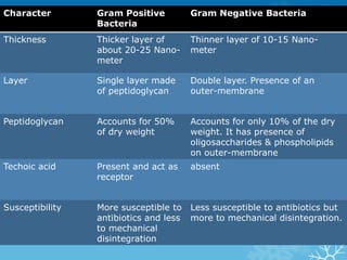 Character Gram Positive
Bacteria
Gram Negative Bacteria
Thickness Thicker layer of
about 20-25 Nano-
meter
Thinner layer of 10-15 Nano-
meter
Layer Single layer made
of peptidoglycan
Double layer. Presence of an
outer-membrane
Peptidoglycan Accounts for 50%
of dry weight
Accounts for only 10% of the dry
weight. It has presence of
oligosaccharides & phospholipids
on outer-membrane
Techoic acid Present and act as
receptor
absent
Susceptibility More susceptible to
antibiotics and less
to mechanical
disintegration
Less susceptible to antibiotics but
more to mechanical disintegration.
 