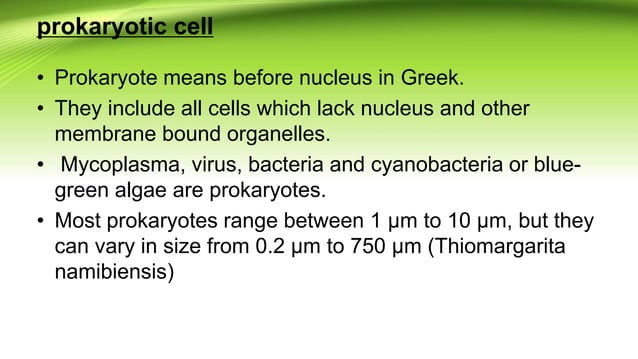 Prokaryotic cell ppt | PPTX
