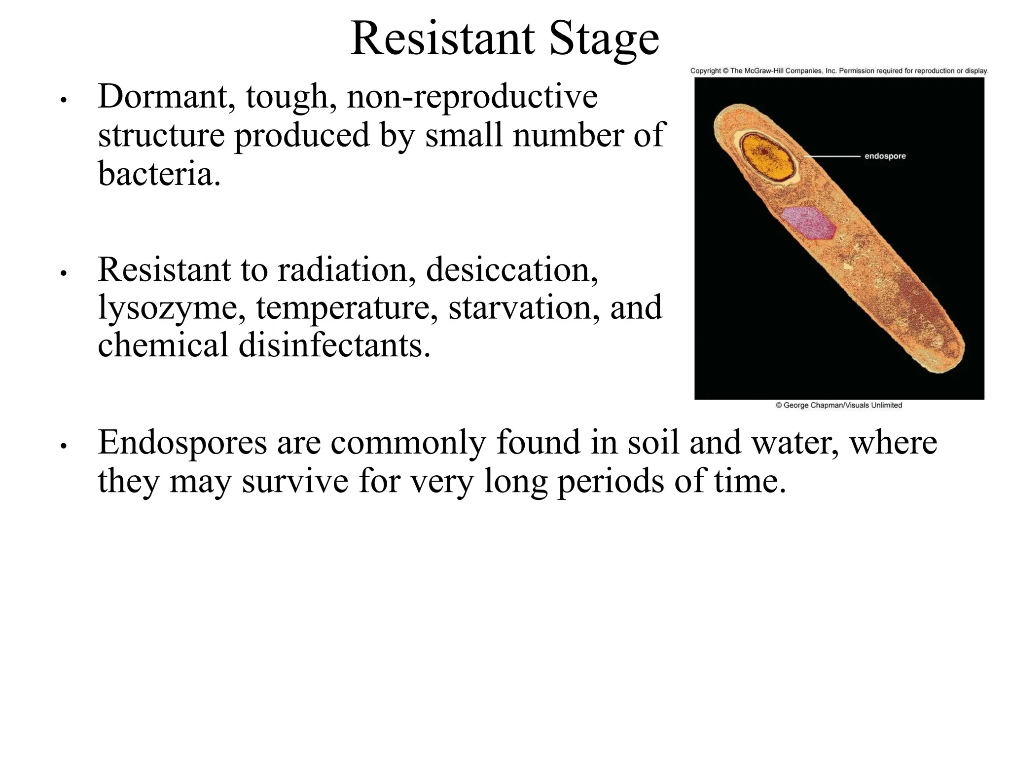 Resistant Stage
• Dormant, tough, non-reproductive
structure produced by small number of
bacteria.
• Resistant to radiation, desiccation,
lysozyme, temperature, starvation, and
chemical disinfectants.
• Endospores are commonly found in soil and water, where
they may survive for very long periods of time.
 