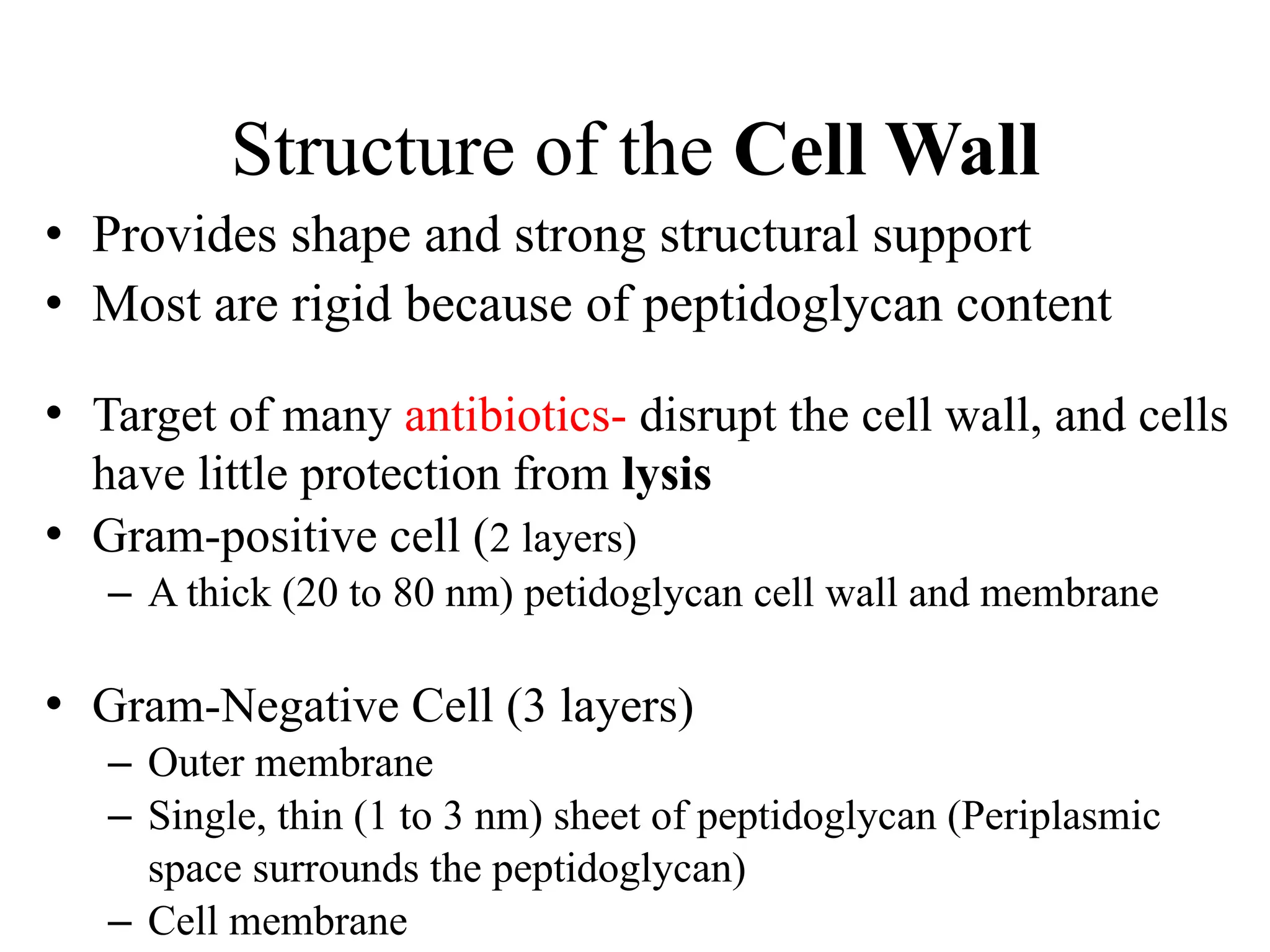 Structure of the Cell Wall
• Provides shape and strong structural support
• Most are rigid because of peptidoglycan content
• Target of many antibiotics- disrupt the cell wall, and cells
have little protection from lysis
• Gram-positive cell (2 layers)
– A thick (20 to 80 nm) petidoglycan cell wall and membrane
• Gram-Negative Cell (3 layers)
– Outer membrane
– Single, thin (1 to 3 nm) sheet of peptidoglycan (Periplasmic
space surrounds the peptidoglycan)
– Cell membrane
 