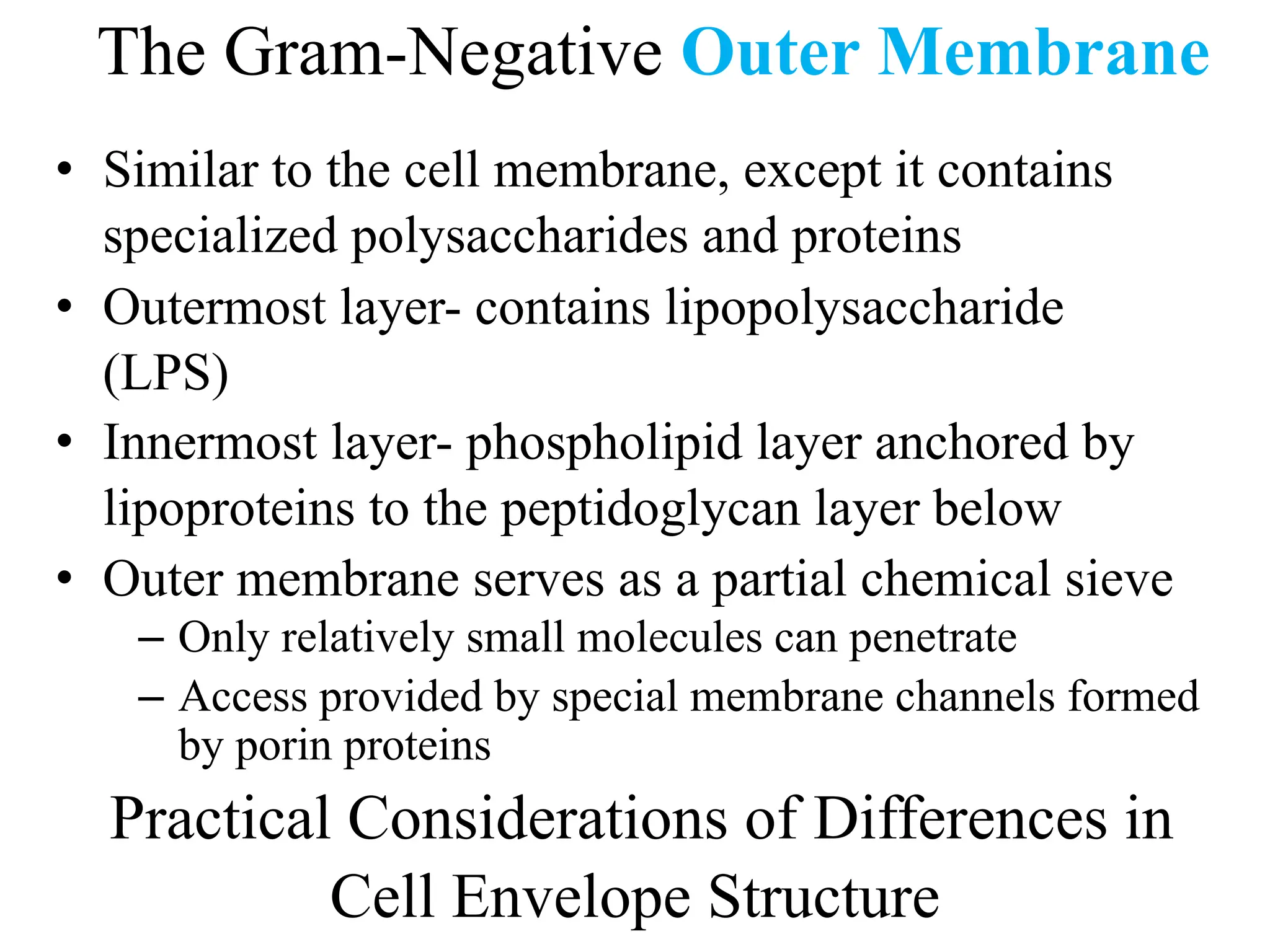 The Gram-Negative Outer Membrane
• Similar to the cell membrane, except it contains
specialized polysaccharides and proteins
• Outermost layer- contains lipopolysaccharide
(LPS)
• Innermost layer- phospholipid layer anchored by
lipoproteins to the peptidoglycan layer below
• Outer membrane serves as a partial chemical sieve
– Only relatively small molecules can penetrate
– Access provided by special membrane channels formed
by porin proteins
Practical Considerations of Differences in
Cell Envelope Structure
 