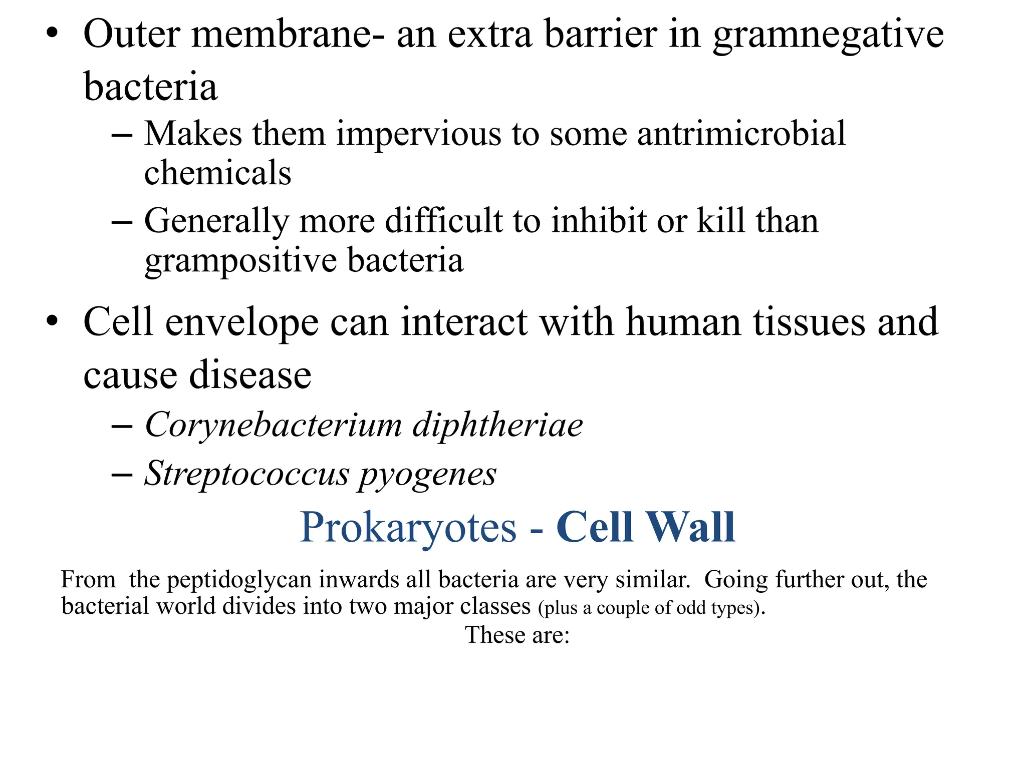• Outer membrane- an extra barrier in gramnegative
bacteria
– Makes them impervious to some antrimicrobial
chemicals
– Generally more difficult to inhibit or kill than
grampositive bacteria
• Cell envelope can interact with human tissues and
cause disease
– Corynebacterium diphtheriae
– Streptococcus pyogenes
Prokaryotes - Cell Wall
From the peptidoglycan inwards all bacteria are very similar. Going further out, the
bacterial world divides into two major classes (plus a couple of odd types).
These are:
 