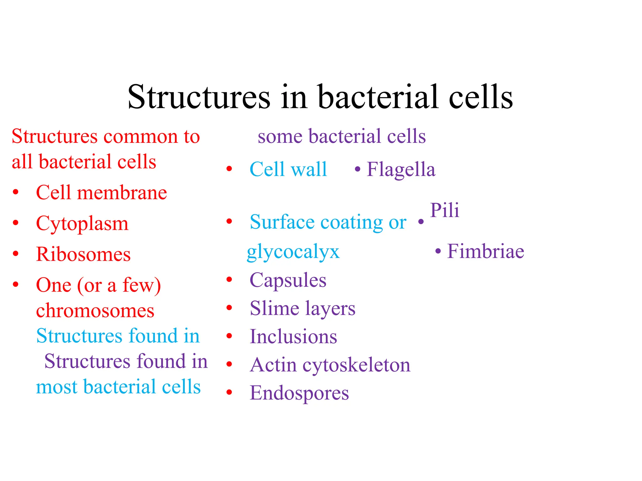 Structures in bacterial cells
Structures common to
all bacterial cells
• Cell membrane
• Cytoplasm
• Ribosomes
• One (or a few)
chromosomes
Structures found in
Structures found in
most bacterial cells
some bacterial cells
• Cell wall • Flagella
• Surface coating or •
Pili
glycocalyx • Fimbriae
• Capsules
• Slime layers
• Inclusions
• Actin cytoskeleton
• Endospores
 