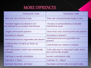 Prokaryotic Cells Eukaryotic Cells
They are very minute in size. They are comparatively larger in size.
Nuclear region (nucleoid) is not
enveloped by a nuclear membrane.
Nucleus is surrounded by a double
membrane layer.
Single chrmosome present. More than one chromosome are present.
Nucleolus is absent. Nucleolus is present.
Membrane bound organelles are absent.
Membrane bound organelles are
present.
Multiplication of cell is by fission or
budding.
Cell division by mitosis or meiosis.
Cell Walls presnt, which are chemically
complex.
Cell walls seen in only plant cells, which
are chemically simpler.
Cell type is usually unicellular. Usually multicellular cells.
Cell size is 1-10μm Cell size 10 - 100µm.
Example: Bacteria, archaea Example: animal cells and plant cells.
 