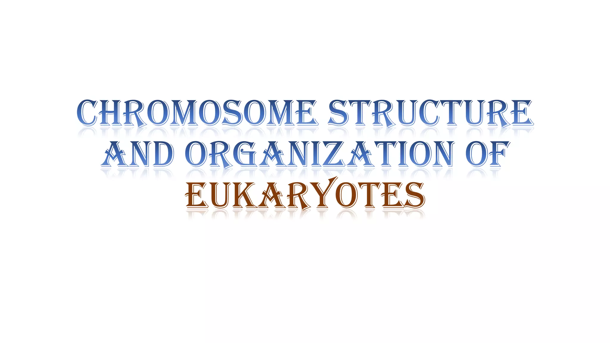 Eukaryotes

 