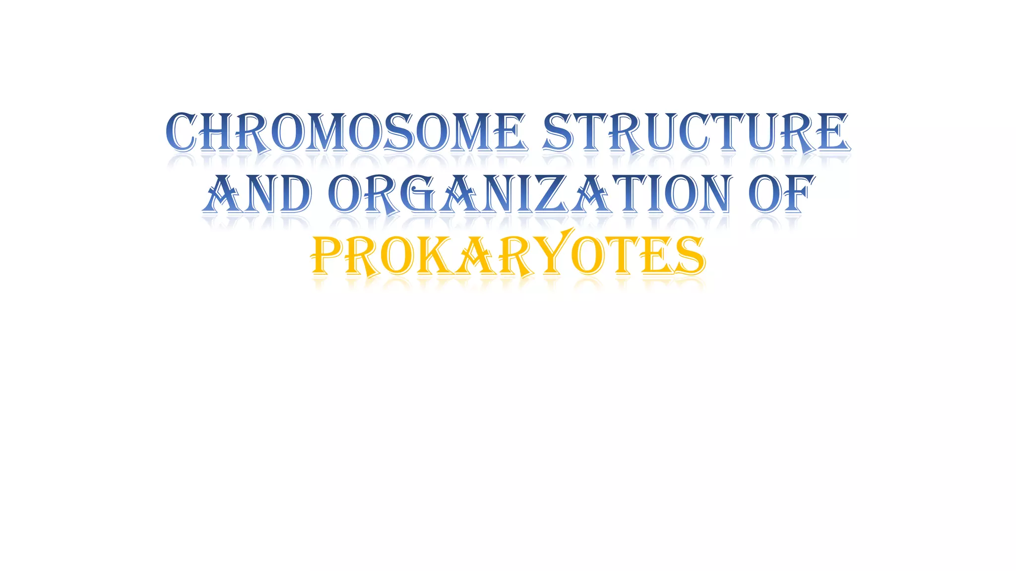 Prokaryotes

 