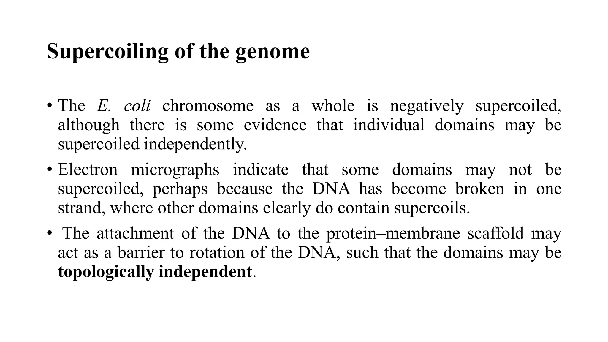 Supercoiling of the genome
• The E. coli chromosome as a whole is negatively supercoiled,
although there is some evidence that individual domains may be
supercoiled independently.
• Electron micrographs indicate that some domains may not be
supercoiled, perhaps because the DNA has become broken in one
strand, where other domains clearly do contain supercoils.
• The attachment of the DNA to the protein–membrane scaffold may
act as a barrier to rotation of the DNA, such that the domains may be
topologically independent.

 