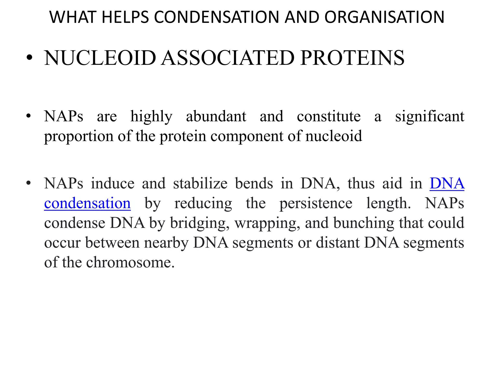 WHAT HELPS CONDENSATION AND ORGANISATION
• NUCLEOID ASSOCIATED PROTEINS
• NAPs are highly abundant and constitute a significant
proportion of the protein component of nucleoid
• NAPs induce and stabilize bends in DNA, thus aid in DNA
condensation by reducing the persistence length. NAPs
condense DNA by bridging, wrapping, and bunching that could
occur between nearby DNA segments or distant DNA segments
of the chromosome.
 