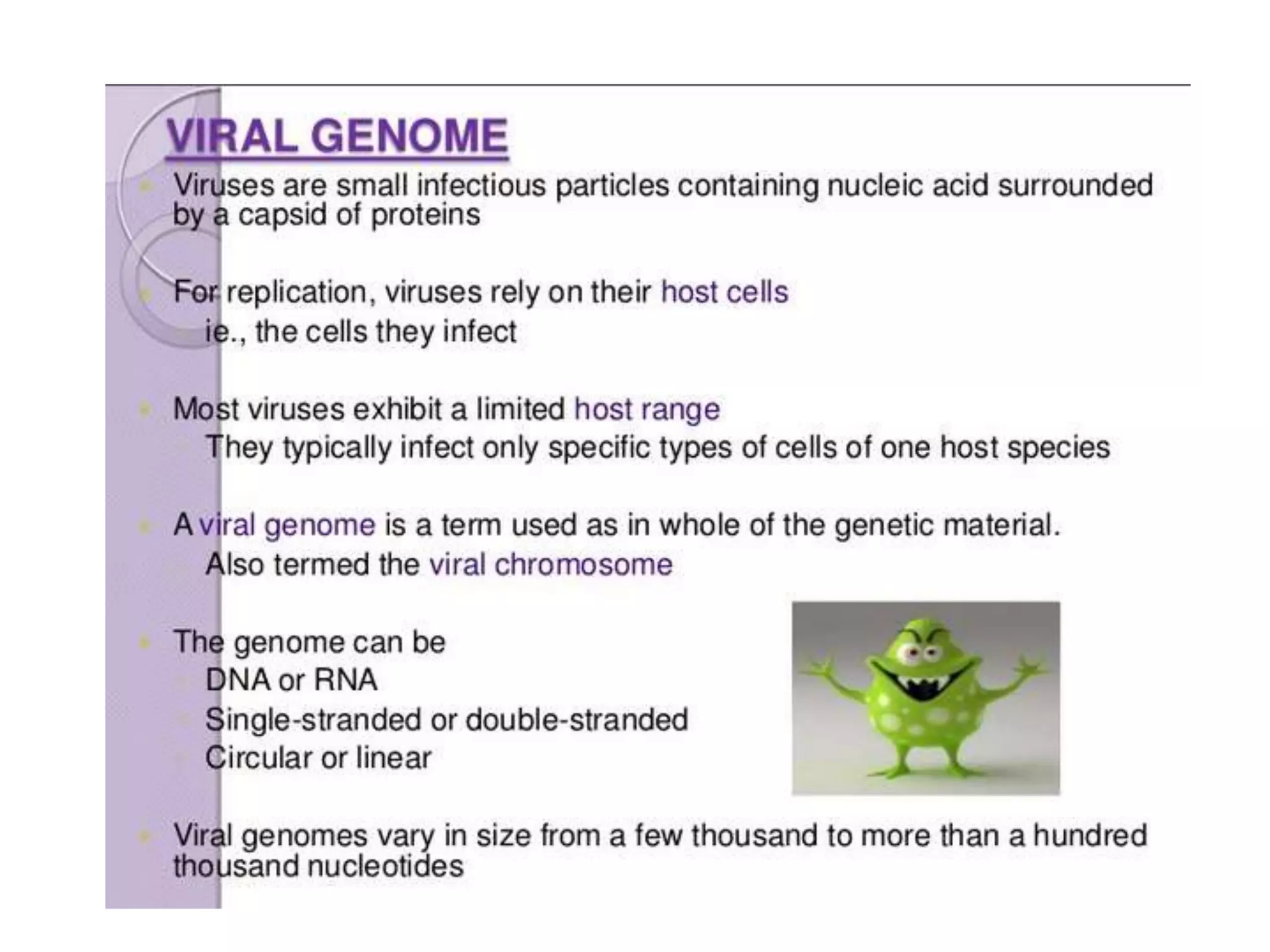Prokaryotic chromosome structure