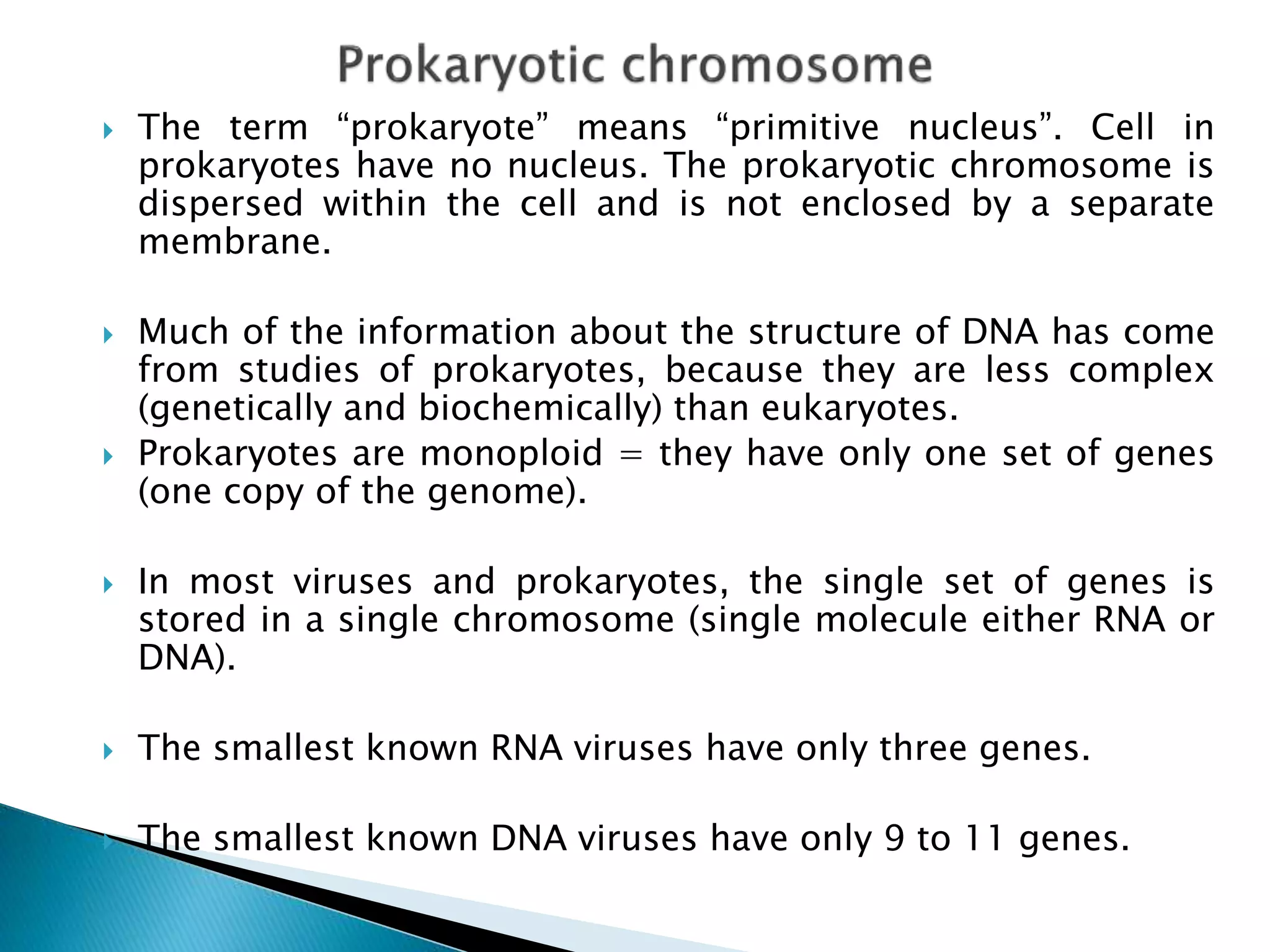 The term “prokaryote” means “primitive nucleus”. Cell in
prokaryotes have no nucleus. The prokaryotic chromosome is
dispersed within the cell and is not enclosed by a separate
membrane.
 Much of the information about the structure of DNA has come
from studies of prokaryotes, because they are less complex
(genetically and biochemically) than eukaryotes.
 Prokaryotes are monoploid = they have only one set of genes
(one copy of the genome).
 In most viruses and prokaryotes, the single set of genes is
stored in a single chromosome (single molecule either RNA or
DNA).
 The smallest known RNA viruses have only three genes.
 The smallest known DNA viruses have only 9 to 11 genes.
 
