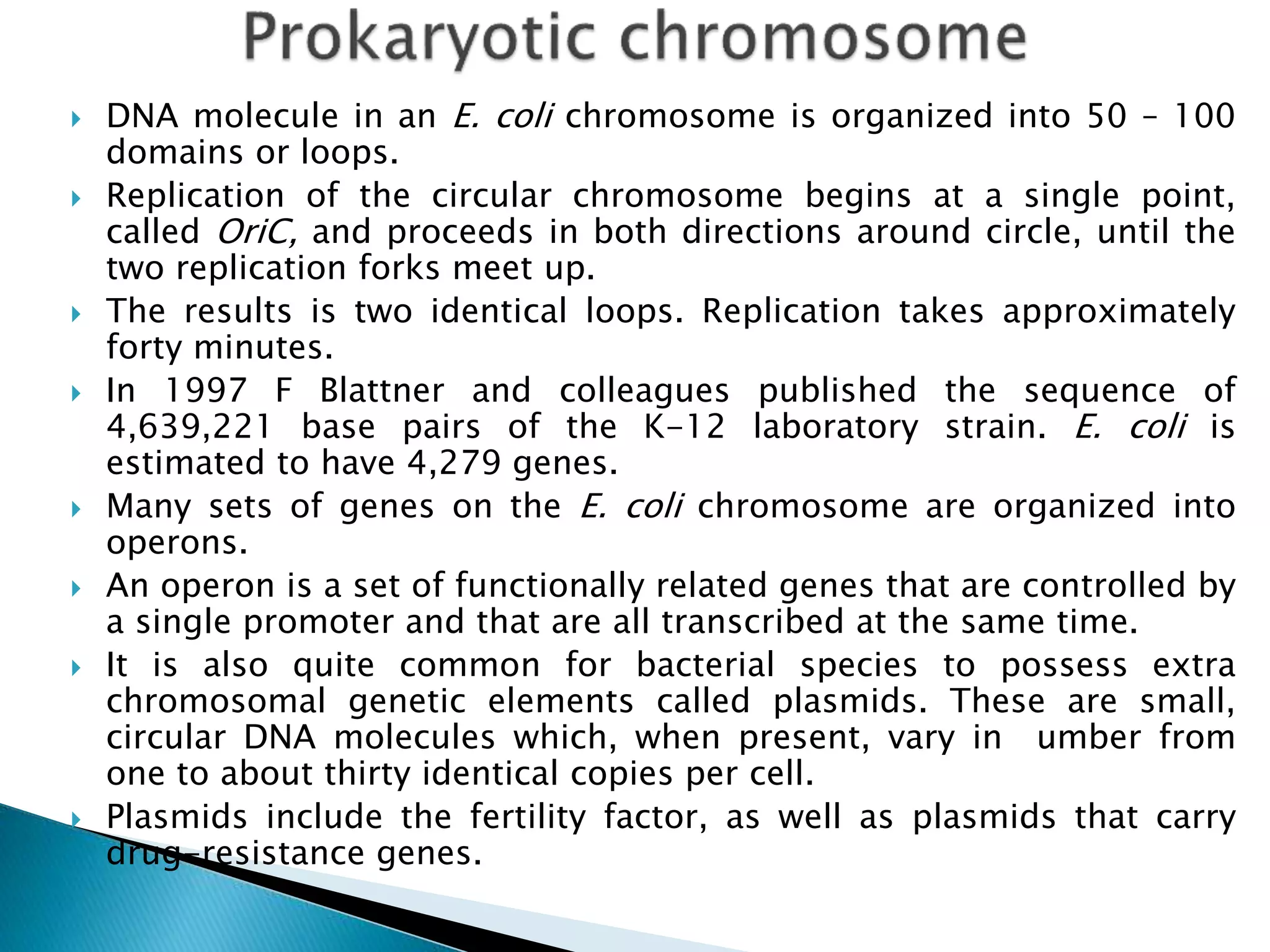  DNA molecule in an E. coli chromosome is organized into 50 – 100
domains or loops.
 Replication of the circular chromosome begins at a single point,
called OriC, and proceeds in both directions around circle, until the
two replication forks meet up.
 The results is two identical loops. Replication takes approximately
forty minutes.
 In 1997 F Blattner and colleagues published the sequence of
4,639,221 base pairs of the K-12 laboratory strain. E. coli is
estimated to have 4,279 genes.
 Many sets of genes on the E. coli chromosome are organized into
operons.
 An operon is a set of functionally related genes that are controlled by
a single promoter and that are all transcribed at the same time.
 It is also quite common for bacterial species to possess extra
chromosomal genetic elements called plasmids. These are small,
circular DNA molecules which, when present, vary in umber from
one to about thirty identical copies per cell.
 Plasmids include the fertility factor, as well as plasmids that carry
drug-resistance genes.
 